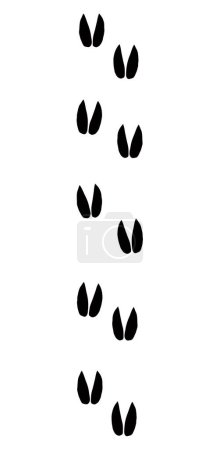 Illustration for Cute flat hooves moose horse chamois stamp element set mud sand road backdrop. Closeup top macro view line hand drawn hunt elk impala cattle livestock zoo vet sketch design modern web art doodle style - Royalty Free Image