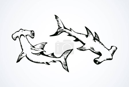 Illustration for Great bonnethead Sphyrna mokarran on white backdrop. Freehand linear black ink hand drawn picture logo sketchy in art retro doodle contour graphic style pen on paper. View closeup with space for text - Royalty Free Image
