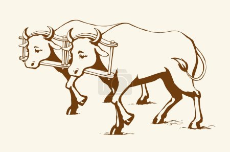 Illustration for Side view white breed calf pet go dairy beef meat ranch natur labor. black outline hand drawn old hoof horn beast head rein bridle strap collar draft retro bible cartoon line sketch art logo sign icon - Royalty Free Image