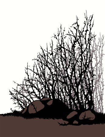 Illustration for Vector drawing. The thorn bushes - Royalty Free Image