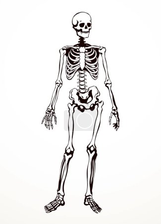 Vue de face blanc vieille partie bras jambe pied hanche bassin torse soins thorax scanner x ray film mort logo ensemble. Ligne dessinée à la main xray colonne vertébrale morte blessure mal douleur examen vintage esquisse art dessin animé