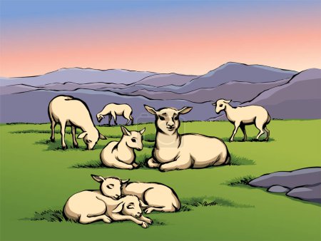Le dessin vectoriel. Les petits moutons gisaient sur le champ