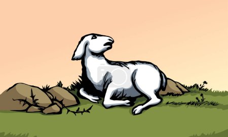 Vector drawing. The sheep got lost in the field