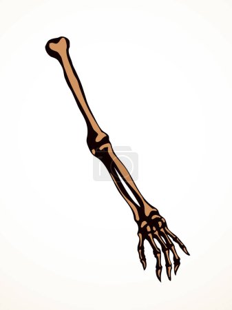Illustration for Back view old woman sick torso spine part injury carpal wrist ache hospital surgery care therap scan x ray white logo. Black drawn femal injur thumb medic xray ill elbow ulna pain exam line sketch art - Royalty Free Image