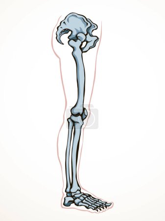 Illustration for Front view old woman sick injury toe muscl tissue part ache hospital surgery care scan x ray radius white logo Black hand drawn femal upper fibular ankle injur medic xray ill pain exam line sketch art - Royalty Free Image