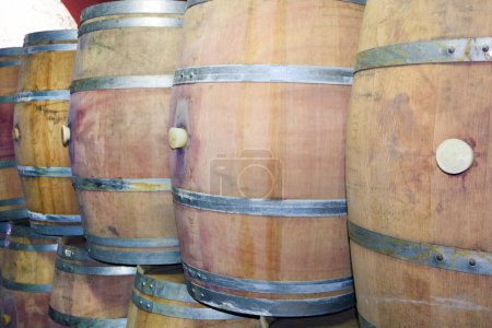 Téléchargez les photos : Wine barrels in the basement of Latrun Trappist Monastery also known as the Monastery of Silent Monks, located between Jerusalem to Tel Aviv near Israeli city of Modiin, Israel - en image libre de droit