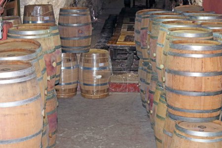 Téléchargez les photos : Wine barrels in the basement of Latrun Trappist Monastery also known as the Monastery of Silent Monks, located between Jerusalem to Tel Aviv near Israeli city of Modiin, Israel - en image libre de droit