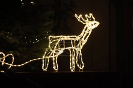 Illumination deer near Hohenschwangau castle, Bavaria, Germany. Night shot