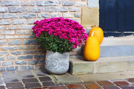 Bright flowers in vase and pumpkins in Cantacuzino Castle, Romania. Halloween mood