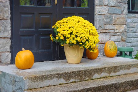 Bright flowers in vase and pumpkins in Cantacuzino Castle, Romania. Halloween mood
