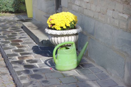 Bright flowers in a vase and watering can in Cantacuzino Castle, Busteni, Romania