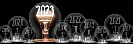 Horizontal group of shining light bulbs with fiber in a shape of New Year 2023 and dark light bulbs with years passed isolated on black background.
