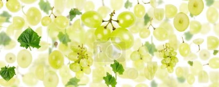 Photo for Abstract background made of Green Grape fruit pieces, slices and leaves isolated on white. - Royalty Free Image