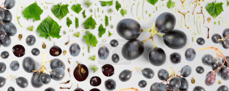 Photo for Abstract background made of Blue Grape fruit pieces, slices and leaves isolated on gray background. - Royalty Free Image