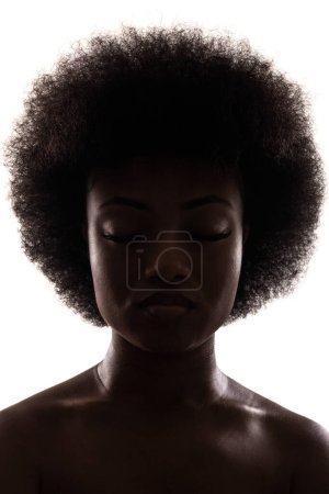 Téléchargez les photos : Silhouette portrait of african american girl with curly hair afro hairstyle isolated on white background. - en image libre de droit