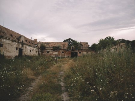 Téléchargez les photos : Ancien bâtiment abandonné au milieu de nulle part - en image libre de droit