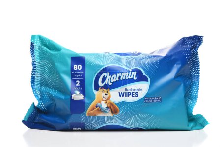 Photo for IRVINE, CALIFORNIA - 3 AUG 2023: A package of Charmin Flushable Wipes. - Royalty Free Image