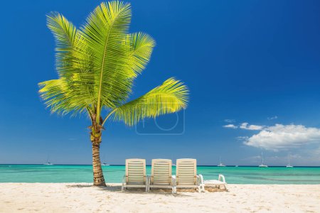 Téléchargez les photos : Palm tree and sunchair on Exotic Tropical island beach in Punta Cana, Dominican Republic - en image libre de droit
