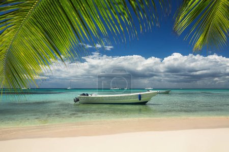 Photo for Caribbean sea and speedboat, tropical panoramic view from exotic island toward ocean - Royalty Free Image