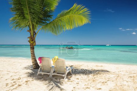Téléchargez les photos : Détente sur une plage d'île tropicale avec chaises longues sous l'ombre du cocotier. Vacances paradisiaques en République dominicaine. - en image libre de droit