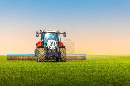 Foto de Tractor con una labranza de rodillos en el campo de primavera. El laminado de suelos apoya la germinación y es la base para una buena cosecha, agricultura orgánica y agronomía. - Imagen libre de derechos