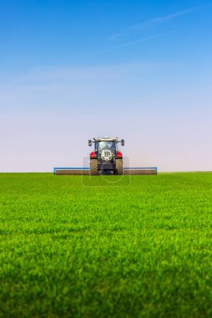 Téléchargez les photos : Tracteur avec un rouleau de travail du sol sur le champ de printemps. Le laminage du sol favorise la germination et constitue la base d'une bonne récolte, de l'agriculture biologique et de l'agronomie - en image libre de droit