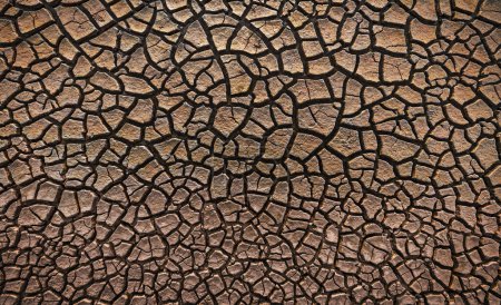 Téléchargez les photos : Cracked Earth Pattern Texture comme fond naturel - en image libre de droit