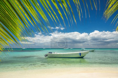 Téléchargez les photos : Mer des Caraïbes et voilier au bord de la plage, belle vue panoramique tropicale - en image libre de droit