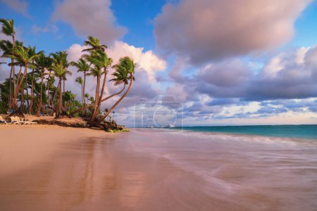 Téléchargez les photos : Palmiers sur l'île tropicaleplage au coucher du soleil ou au lever du soleil avec des nuages spectaculaires et la mer tropicale des Caraïbes - en image libre de droit