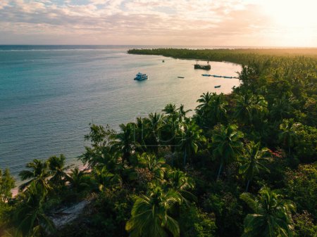 Téléchargez les photos : Vue aérienne du paysage de la plage d'île tropicale et de la mer des Caraïbes, République dominicaine - en image libre de droit