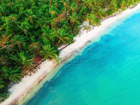 Foto de Vista panorámica aérea de la playa de la isla tropical y el mar Caribe, República Dominicana - Imagen libre de derechos