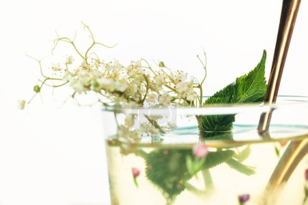 Foto de Zumo de saúco enano, jarabe de saúco en una taza de vidrio con flores y racimos de saúco y hojas de saúco, cóctel fresco de verano - Imagen libre de derechos