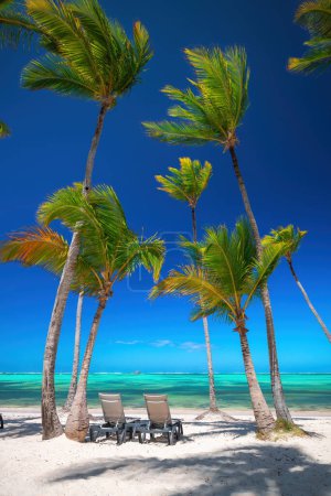 Foto de Playa isla exótica con palmeras en la orilla del mar Caribe, vacaciones tropicales de verano. - Imagen libre de derechos