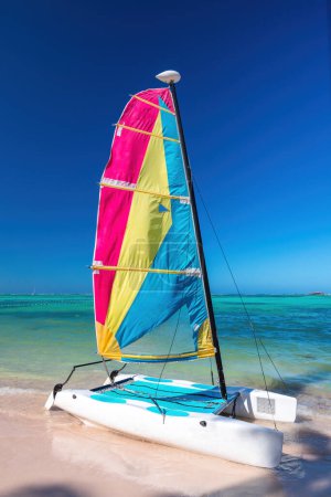 Foto de Colorido velero catamarán en la playa tropical y la orilla del mar Caribe - Imagen libre de derechos