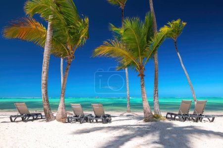 Photo for Exotic sland beach with palm trees on the Caribbean Sea shore, summer tropical holida - Royalty Free Image