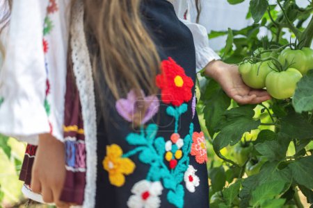 Foto de Niña agricultora búlgara en traje de folclore bordado, plantas vegetales de tomate orgánico en un invernadero de jardín. Jardinería y agricultura en Bulgaria. - Imagen libre de derechos