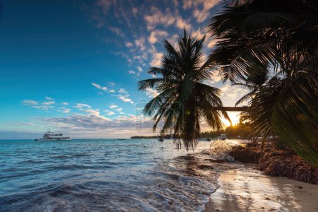 Photo for Tropical island beach with palm trees on the Caribbean Sea shore at sunrise. - Royalty Free Image