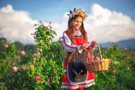 Photo for Beautiful girl, young bulgarian woman in ethnic folklore dress enjoying aromatic roses and picking perfumery oil-bearing rose (Rosa Damascena) in Rose Valley of Kazanlak - Royalty Free Image