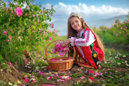 Téléchargez les photos : Champ bulgare de Rose Damascena, vallée de Roses Kazanlak, Bulgarie. Fille en vêtements folkloriques ethniques récoltant des roses oléagineuses au lever du soleil - en image libre de droit