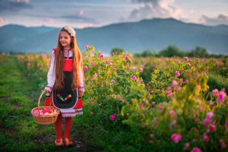 Foto de Bulgarian Rose Damascena field, Roses valley Kazanlak, Bulgaria. Chica en ropa folclórica étnica cosechando rosas oleaginosas al amanecer - Imagen libre de derechos