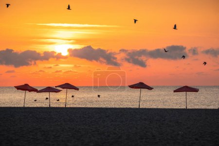 Téléchargez les photos : Parapluies, oiseaux volants et plage tropicale et lever de soleil doré sur l'horizon de la mer - en image libre de droit