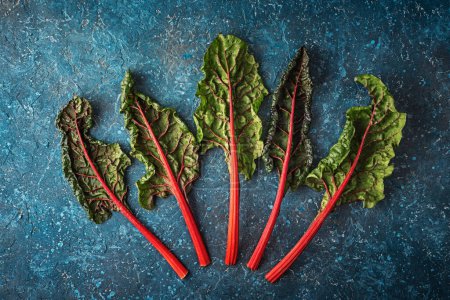 Photo for Swiss Rainbow chard, silverbeet or mangold over rustic blue textured background - Royalty Free Image