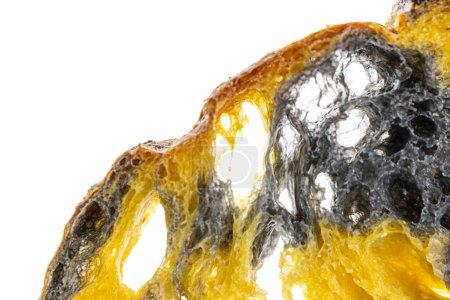 Téléchargez les photos : Tranche maison de pain au levain fraîchement cuit sur fond blanc, charbon actif, épice de potiron et curcuma - en image libre de droit