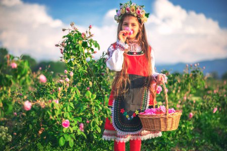 belle liberté fille bulgare femme cueillette huile portant Rose Damascena dans le champ au lever du soleil Bulgarie