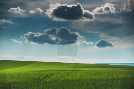 Téléchargez les photos : Champ vert et ciel nuageux paysage naturel vert frais - en image libre de droit