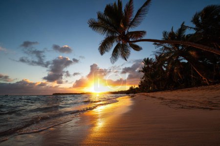 Téléchargez les photos : Paysage du paradis plage île tropicale avec des palmiers sur le rivage de la mer coucher de soleil, lever du soleil paysage marin. - en image libre de droit