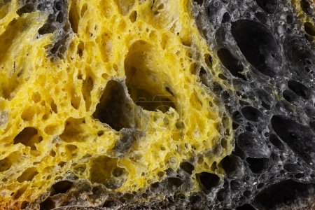 Photo for Texture of homemade slice of sourdough freshly baked bread,  activated carbon, pumpkin and curcuma spice - Royalty Free Image