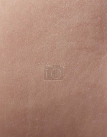 Foto de Limpiar plano marrón textura humana macro vista de cerca - Imagen libre de derechos