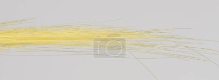 Yellow color straight hair strand isolated macro close up view