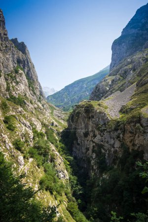 Photo for Mountain landscape around Bulnes village in Picos de Europa, Asturias, Spain - Royalty Free Image